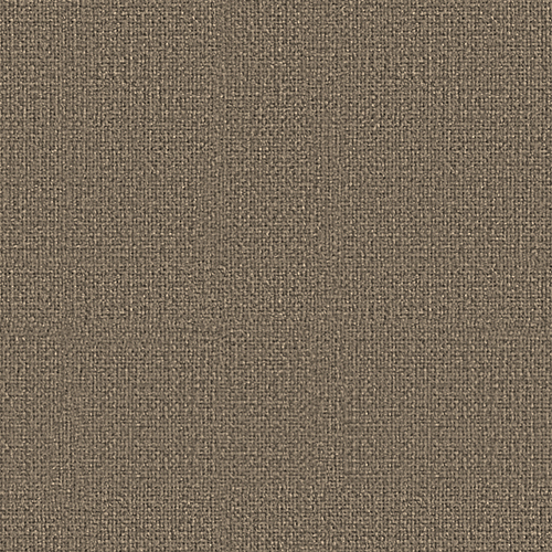 Senator - Sumi