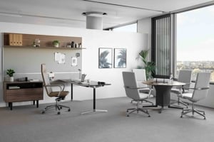 Rapt_Mood_Image_01 copy.jpeg