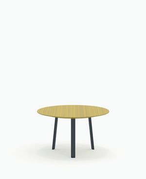 SUN203 _Rotations_01.jpg