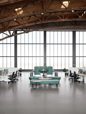 Talon_Mood_Image_06 copy.jpeg