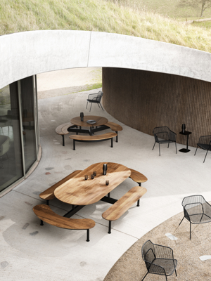 Tibo_Mood_Image_06 copy.jpeg